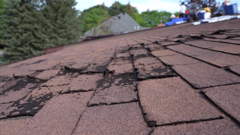 Fast & Reliable Emergency Roof Repairs in St Simons, GA